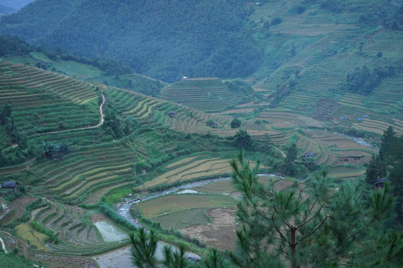 Hello Mu Cang Chai Homestay & Tours ภายนอก รูปภาพ