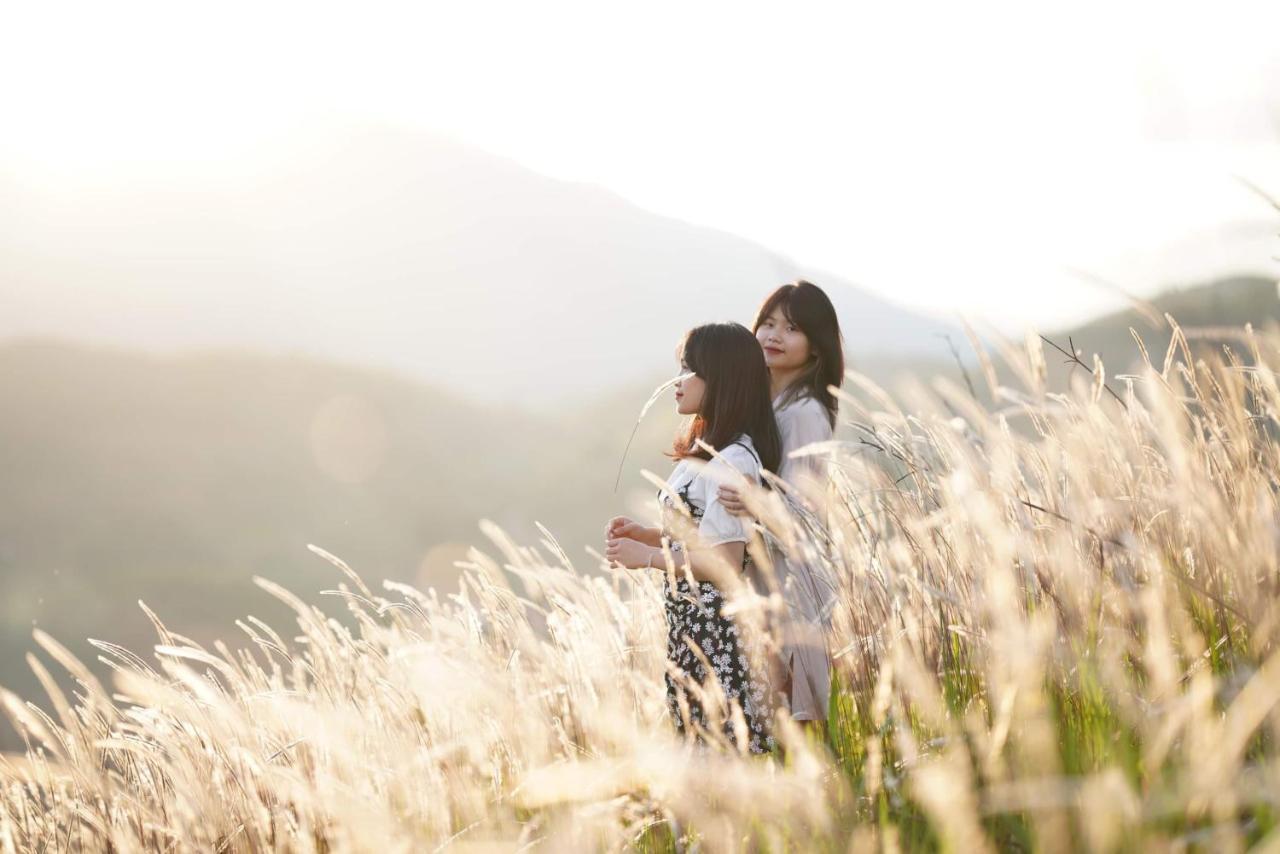 Hello Mu Cang Chai Homestay & Tours ภายนอก รูปภาพ