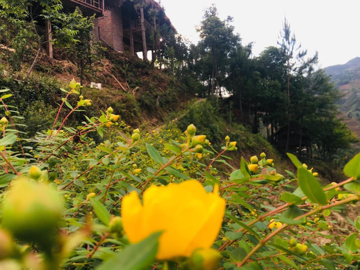Hello Mu Cang Chai Homestay & Tours ภายนอก รูปภาพ