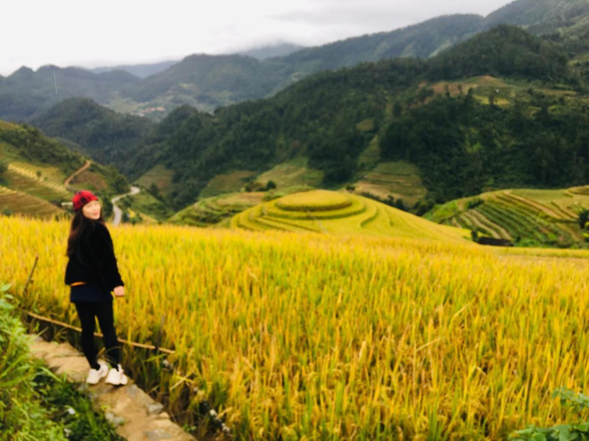 Hello Mu Cang Chai Homestay & Tours ภายนอก รูปภาพ