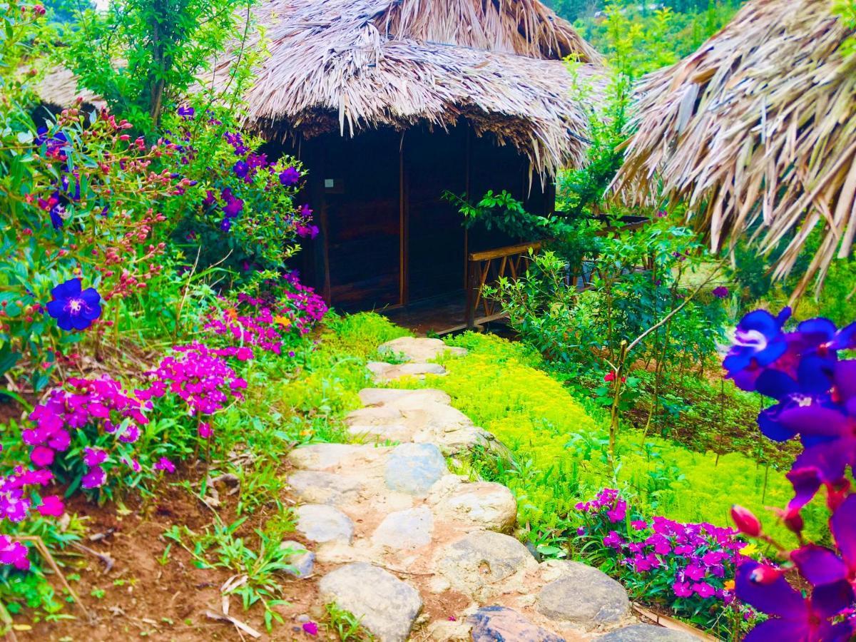 Hello Mu Cang Chai Homestay & Tours ภายนอก รูปภาพ