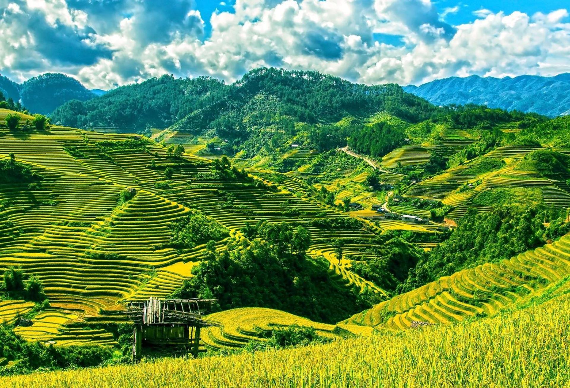 Hello Mu Cang Chai Homestay & Tours ภายนอก รูปภาพ