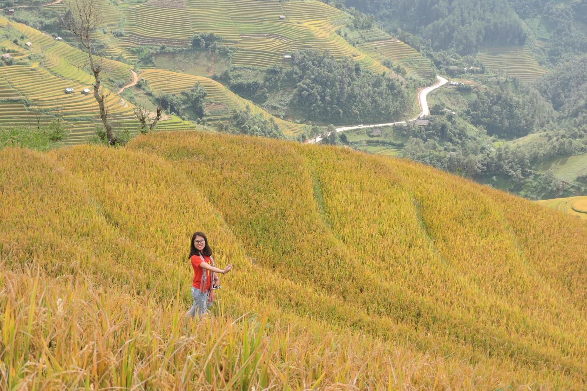 Hello Mu Cang Chai Homestay & Tours ห้อง รูปภาพ