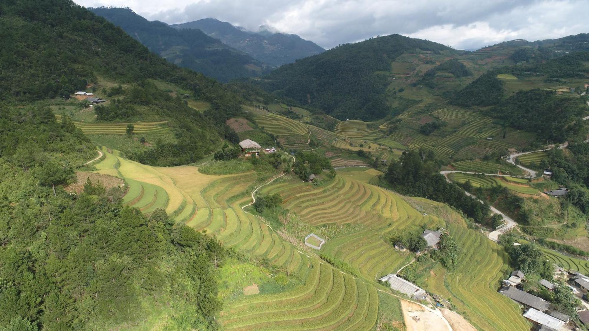 Hello Mu Cang Chai Homestay & Tours ภายนอก รูปภาพ