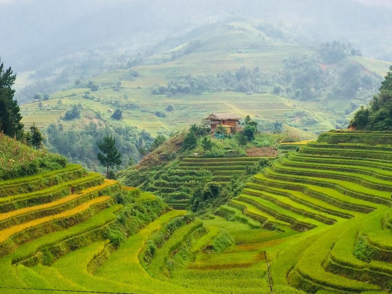 Hello Mu Cang Chai Homestay & Tours ภายนอก รูปภาพ