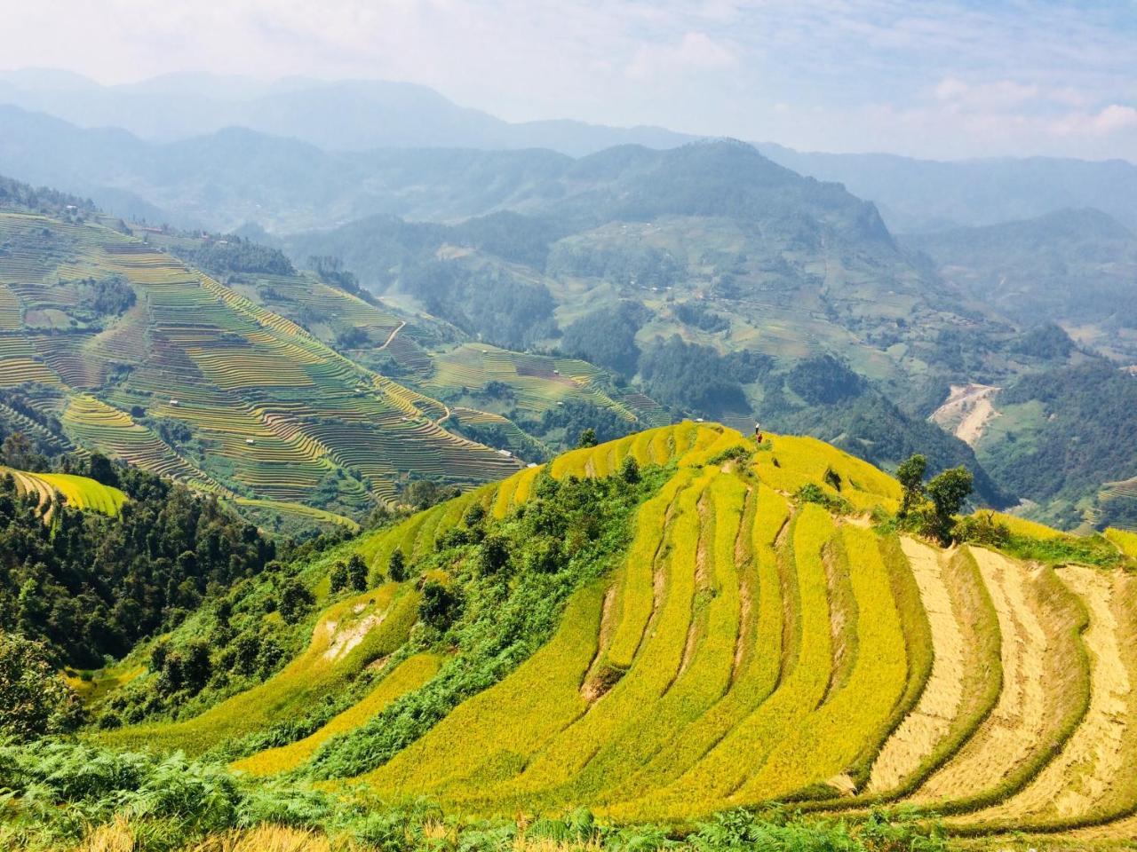 Hello Mu Cang Chai Homestay & Tours ภายนอก รูปภาพ