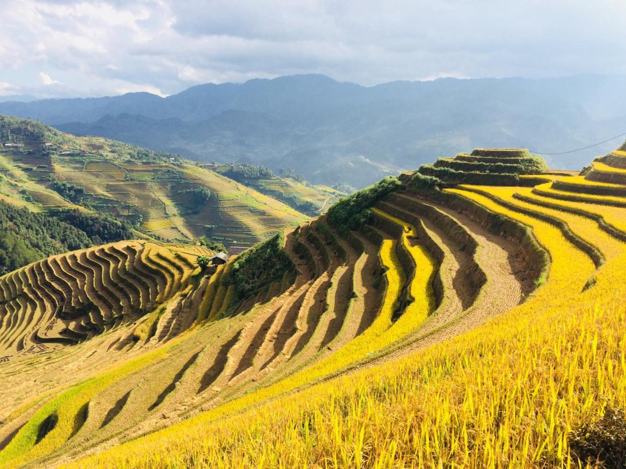 Hello Mu Cang Chai Homestay & Tours ภายนอก รูปภาพ
