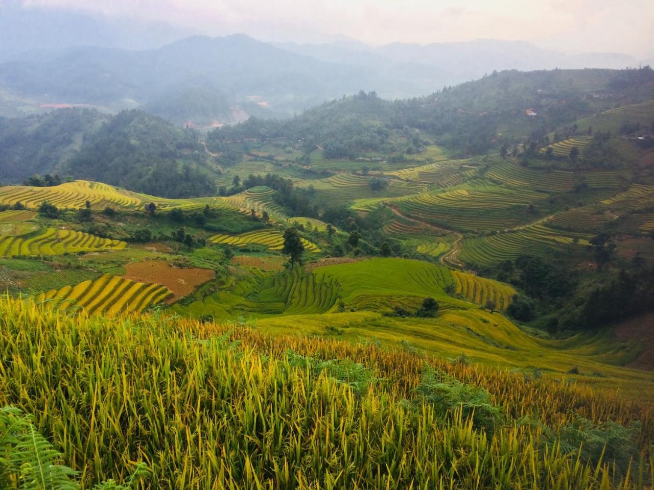 Hello Mu Cang Chai Homestay & Tours ภายนอก รูปภาพ